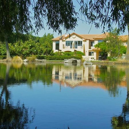 Tuscany Downs Estate Darfield ภายนอก รูปภาพ